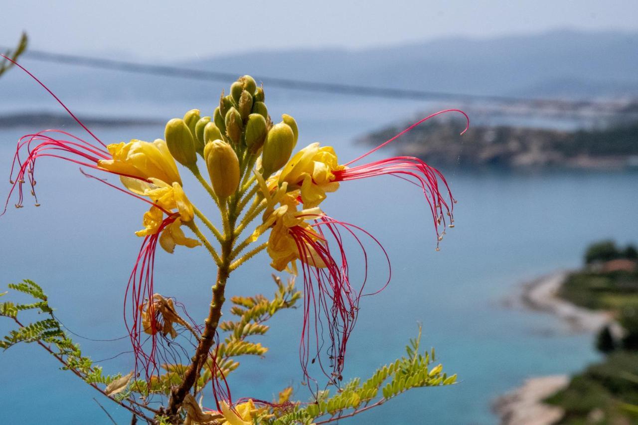 Apartamento Miracle View Ágios Nikolaos